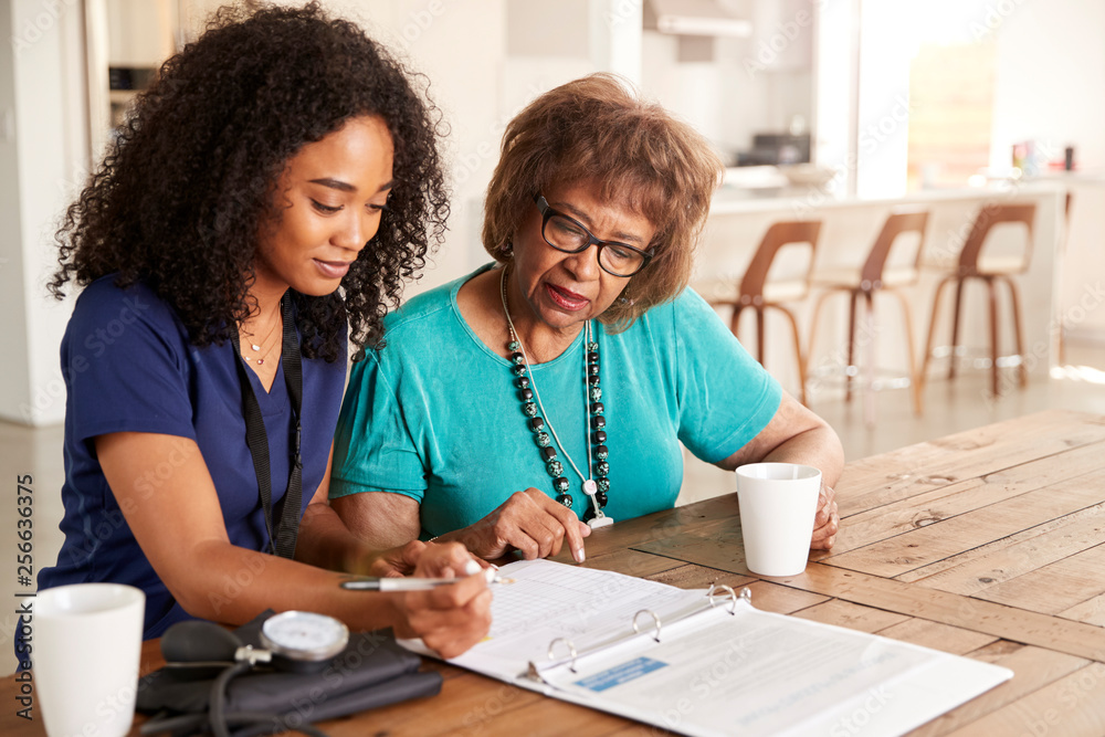 Female healthcare worker filling in a form with a senior woman during a home health visit